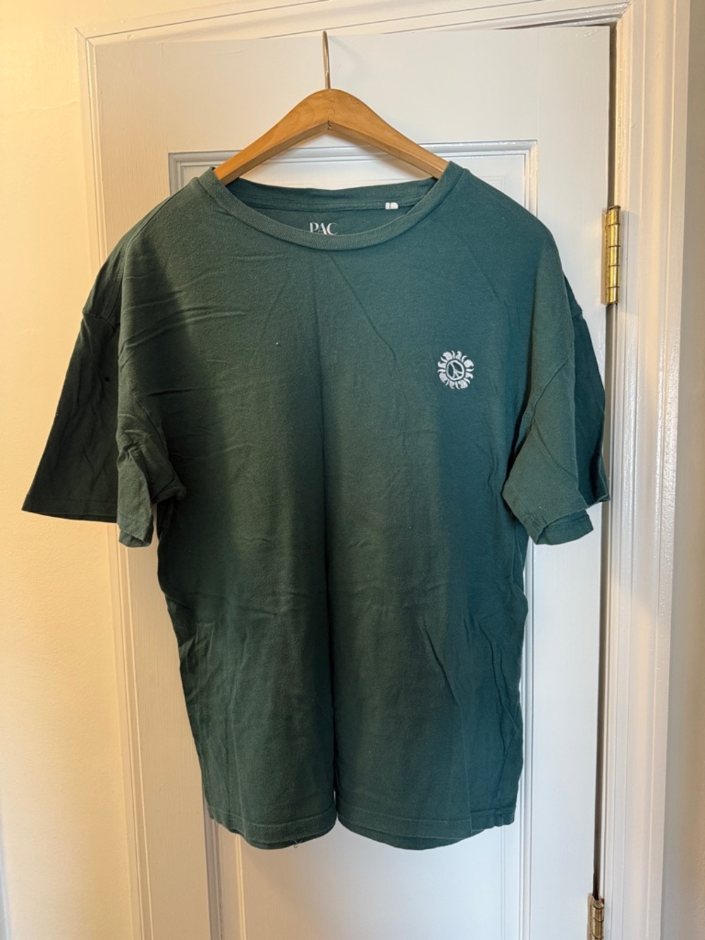 PacSun Dark Green Graphic Crew T-Shirt